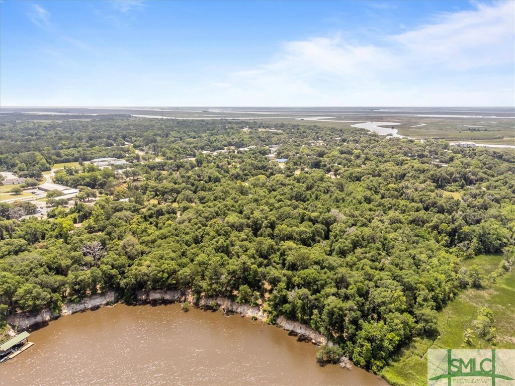 1119 Old River Road Darien, GA 31305 - Photo 6 of 22 Gallery Image 6