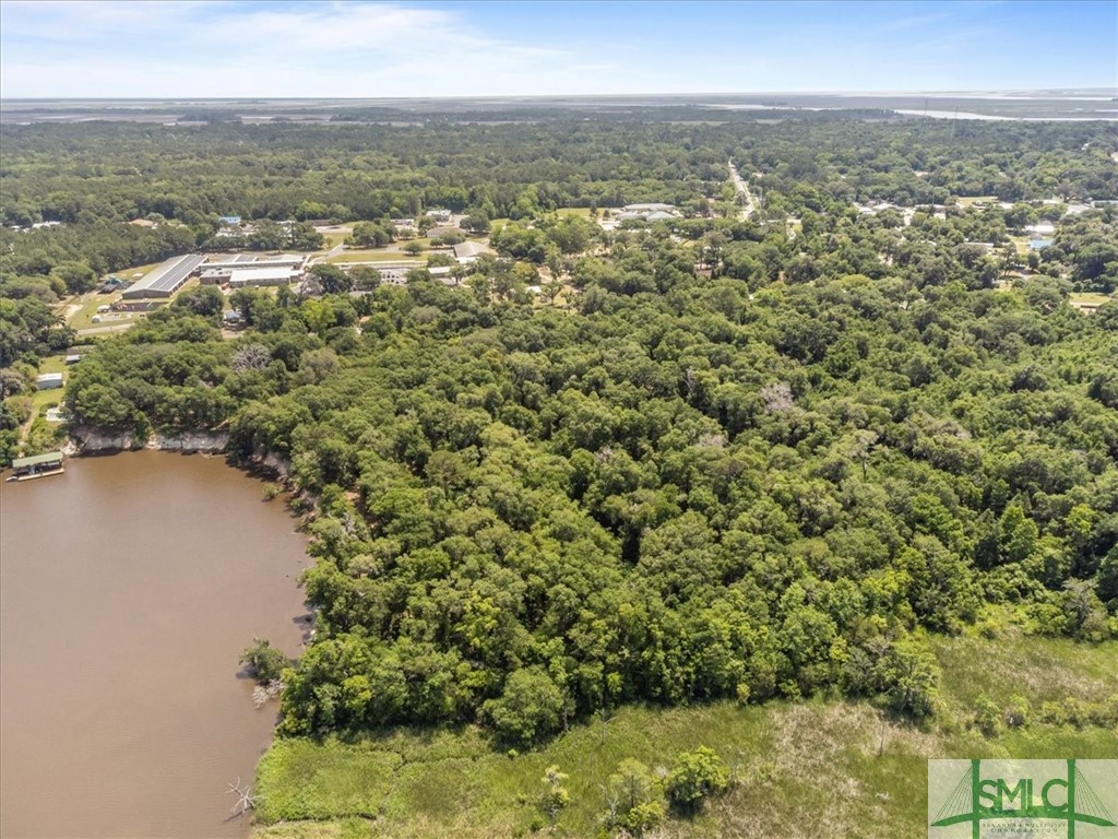 1119 Old River Road Darien, GA 31305 - Photo 7 of 22 Gallery Image 7