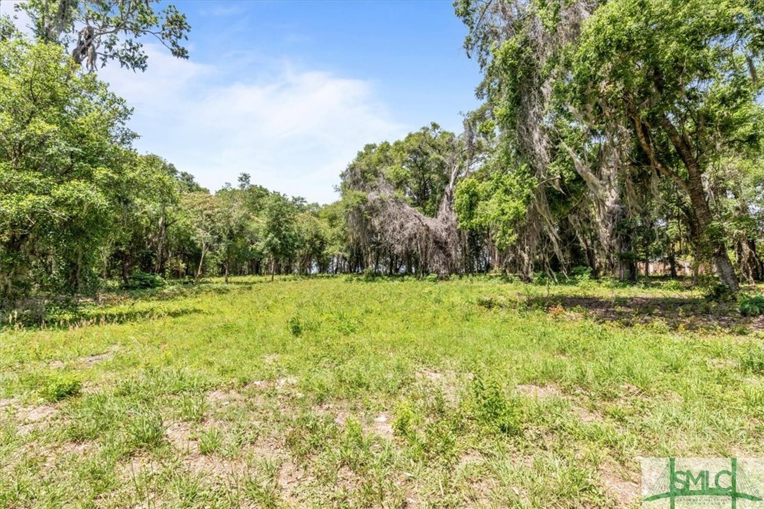 1119 Old River Road Darien, GA 31305 - Photo 10 of 22 Gallery Image 10