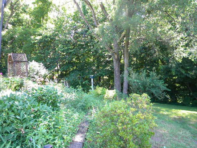 14049 South Bluff Road Rockton, IL 61072 - Photo 24 of 25 a green field with lots of bushes
