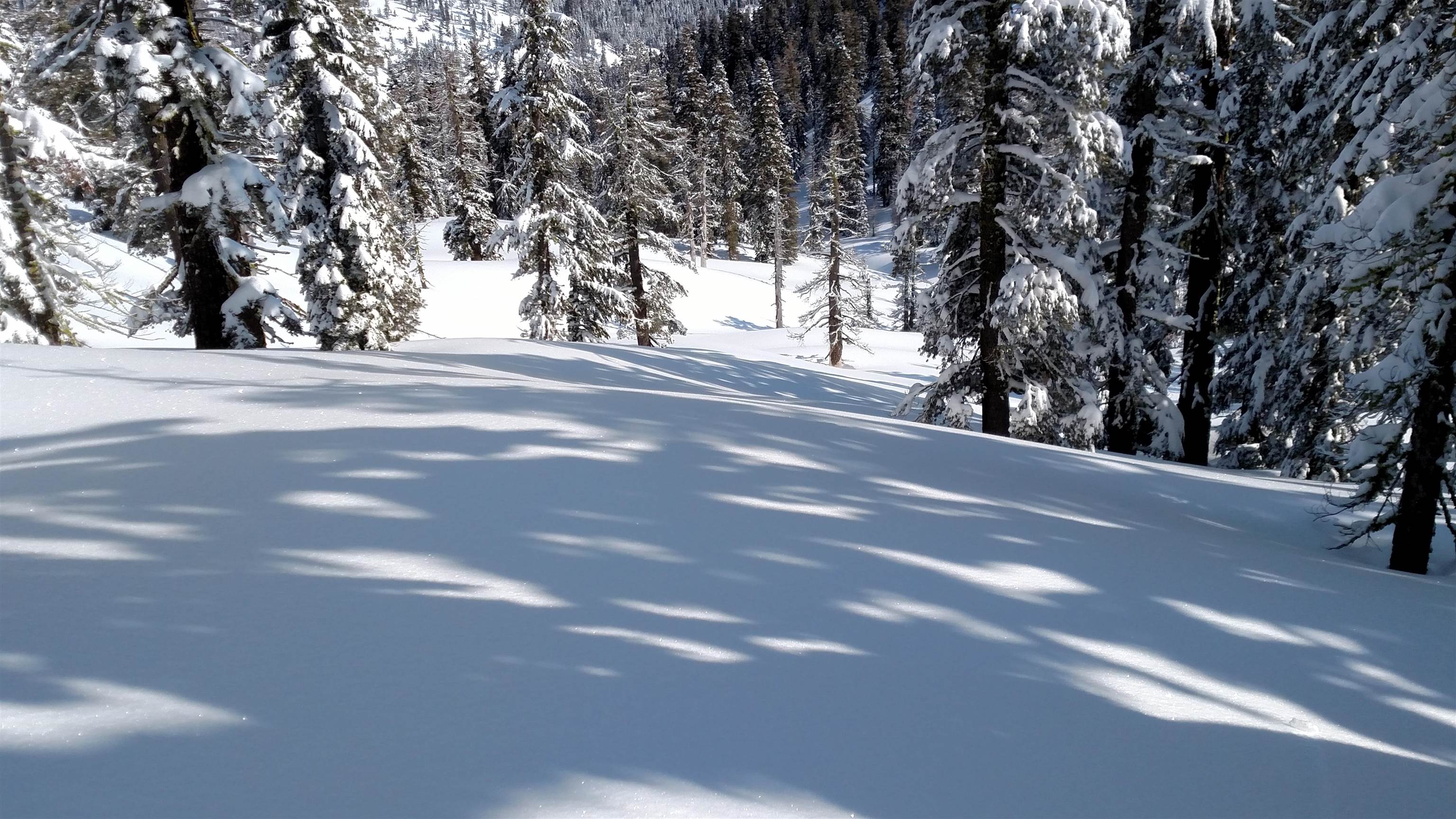 2090 Chalet Road, Unit 2 Alpine Meadows, CA 96146 - Photo 17 of 23 a view of road and trees