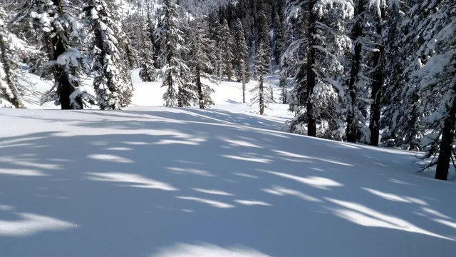 a view of road and trees