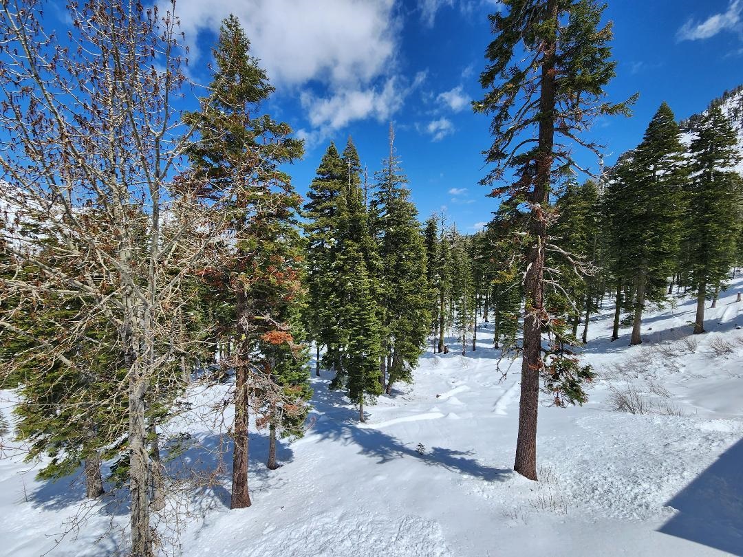 2090 Chalet Road, Unit 2 Alpine Meadows, CA 96146 - Photo 4 of 23