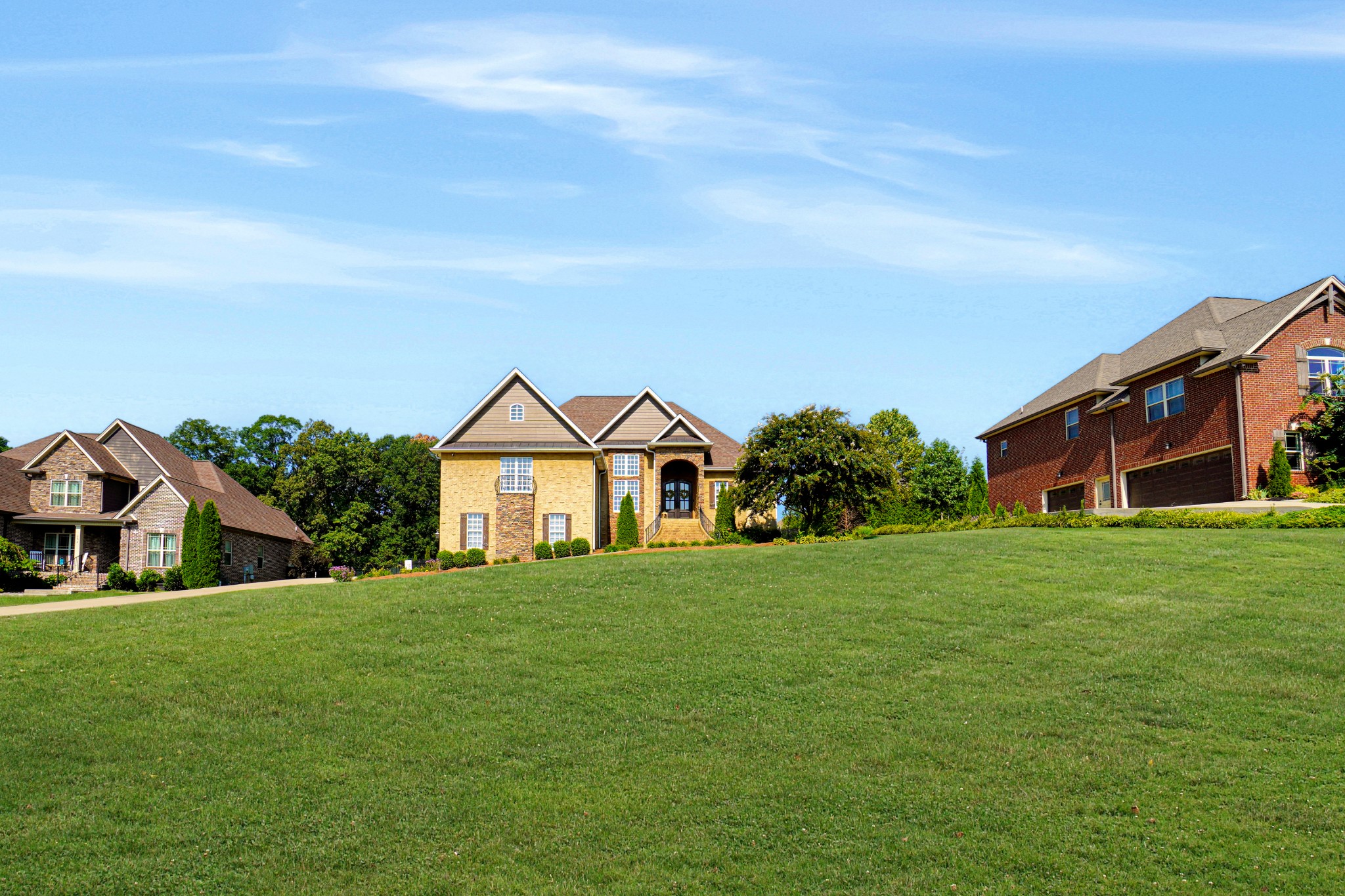 116 Cassandra Drive Cottontown, TN 37048 - Photo 45 of 53 a front view of a house with a yard