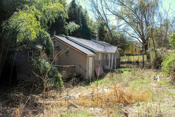a backyard of a house with plants and tree
