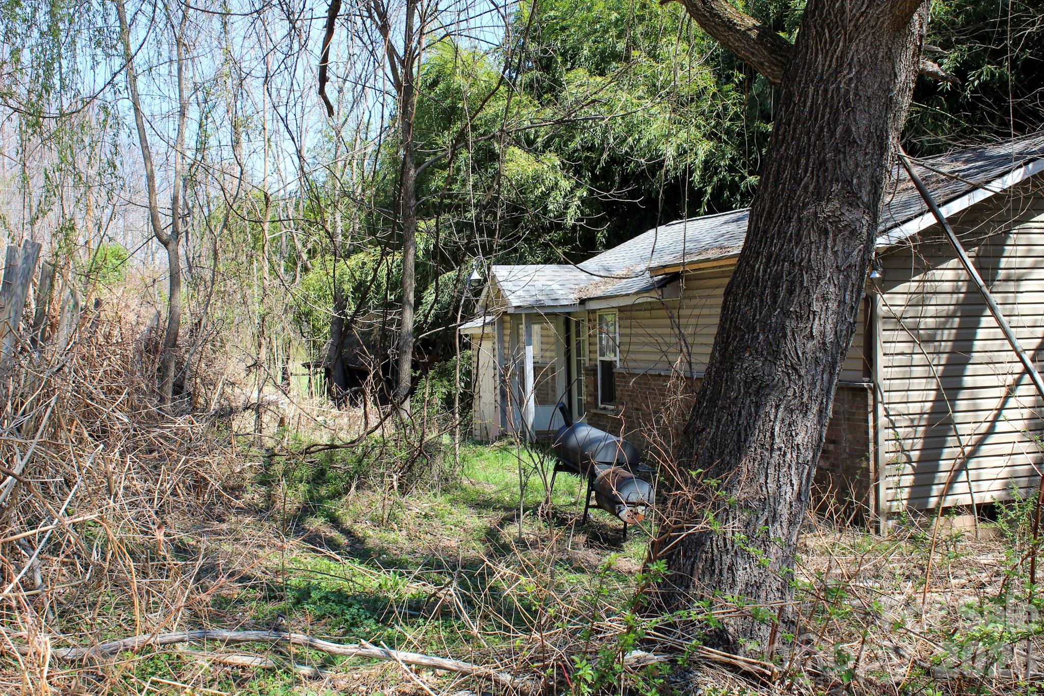 1293 Lake Logan Road Canton, NC 28716 - Photo 13 of 48 a backyard of a house with lots of green space