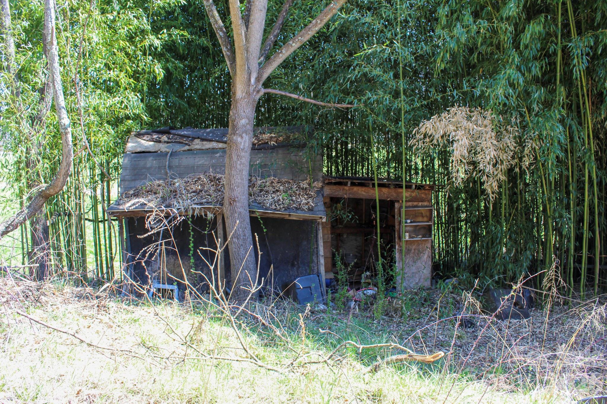 1293 Lake Logan Road Canton, NC 28716 - Photo 3 of 48 a view of an house with backyard space and garden