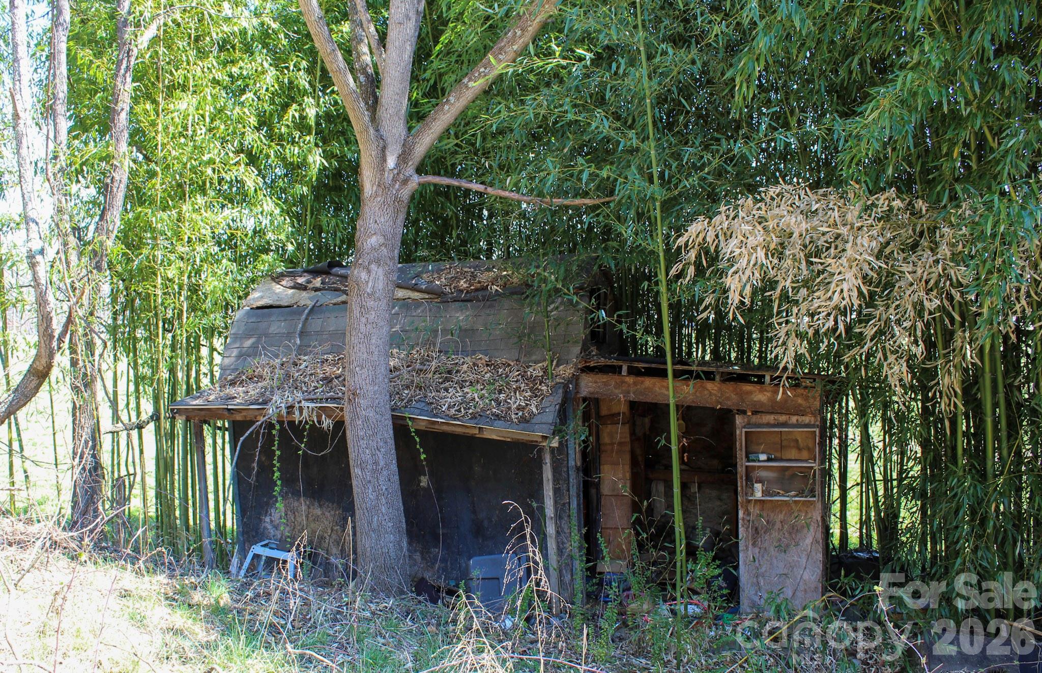 1293 Lake Logan Road Canton, NC 28716 - Photo 4 of 48 a view of outdoor space and yard