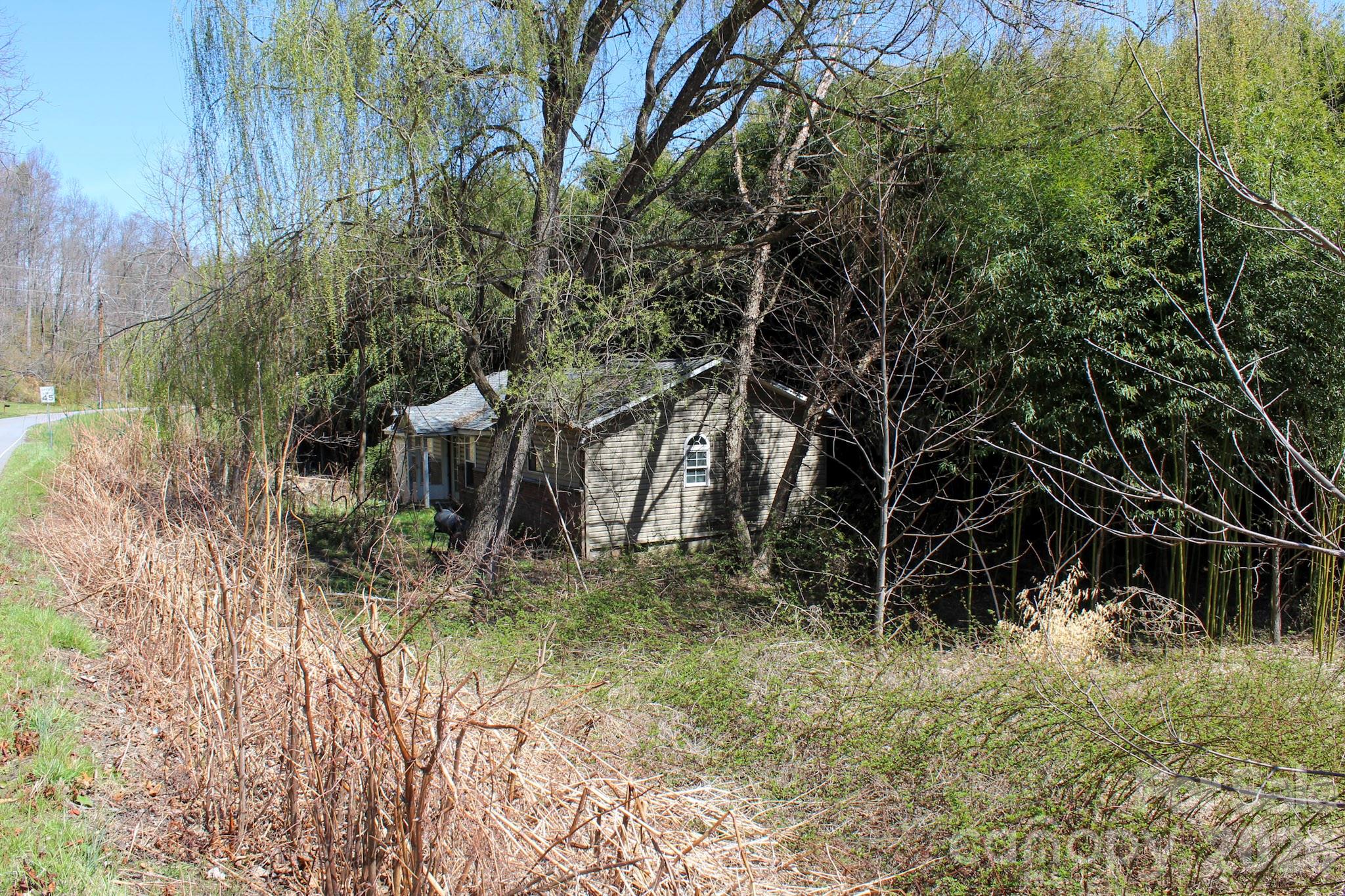1293 Lake Logan Road Canton, NC 28716 - Photo 46 of 48 a view of outdoor space and trees
