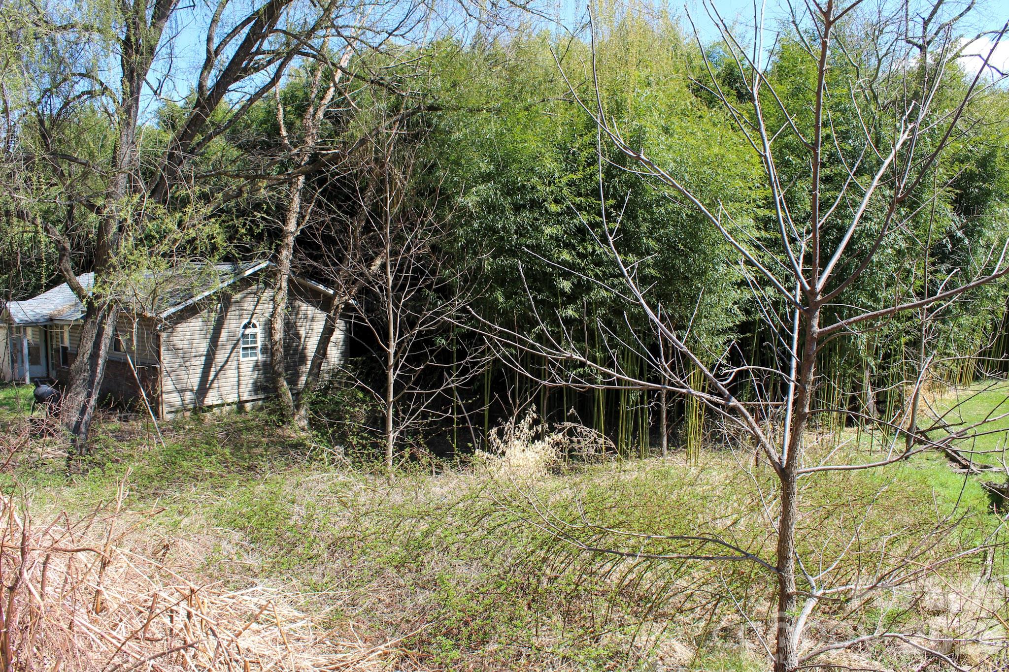 1293 Lake Logan Road Canton, NC 28716 - Photo 47 of 48 a view of a yard with plants and large trees