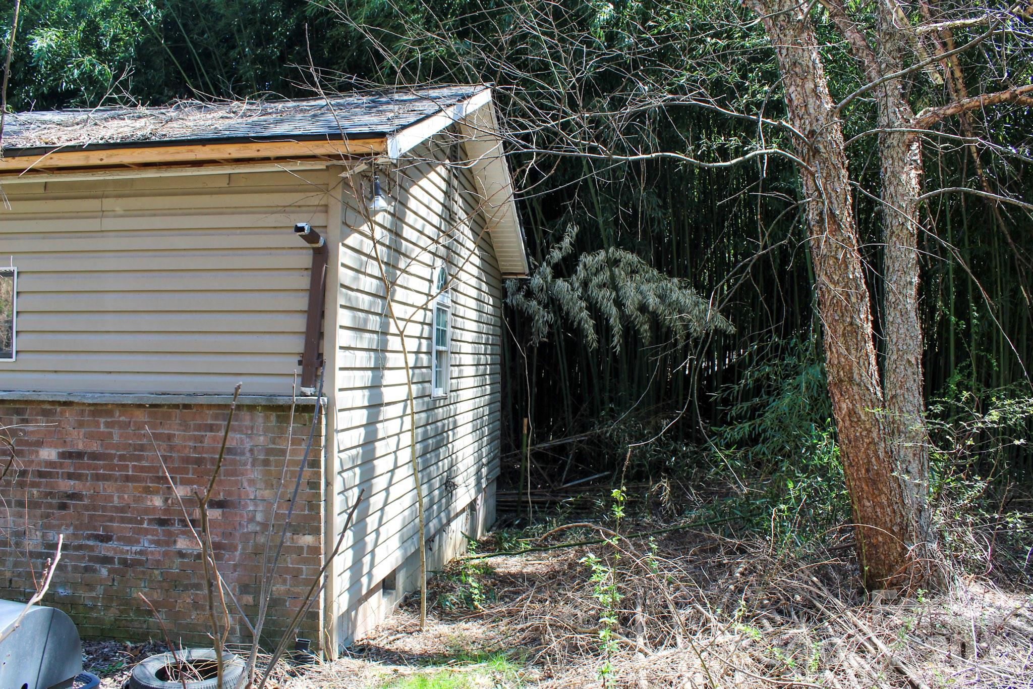 1293 Lake Logan Road Canton, NC 28716 - Photo 8 of 48 a view of backyard with trampoline