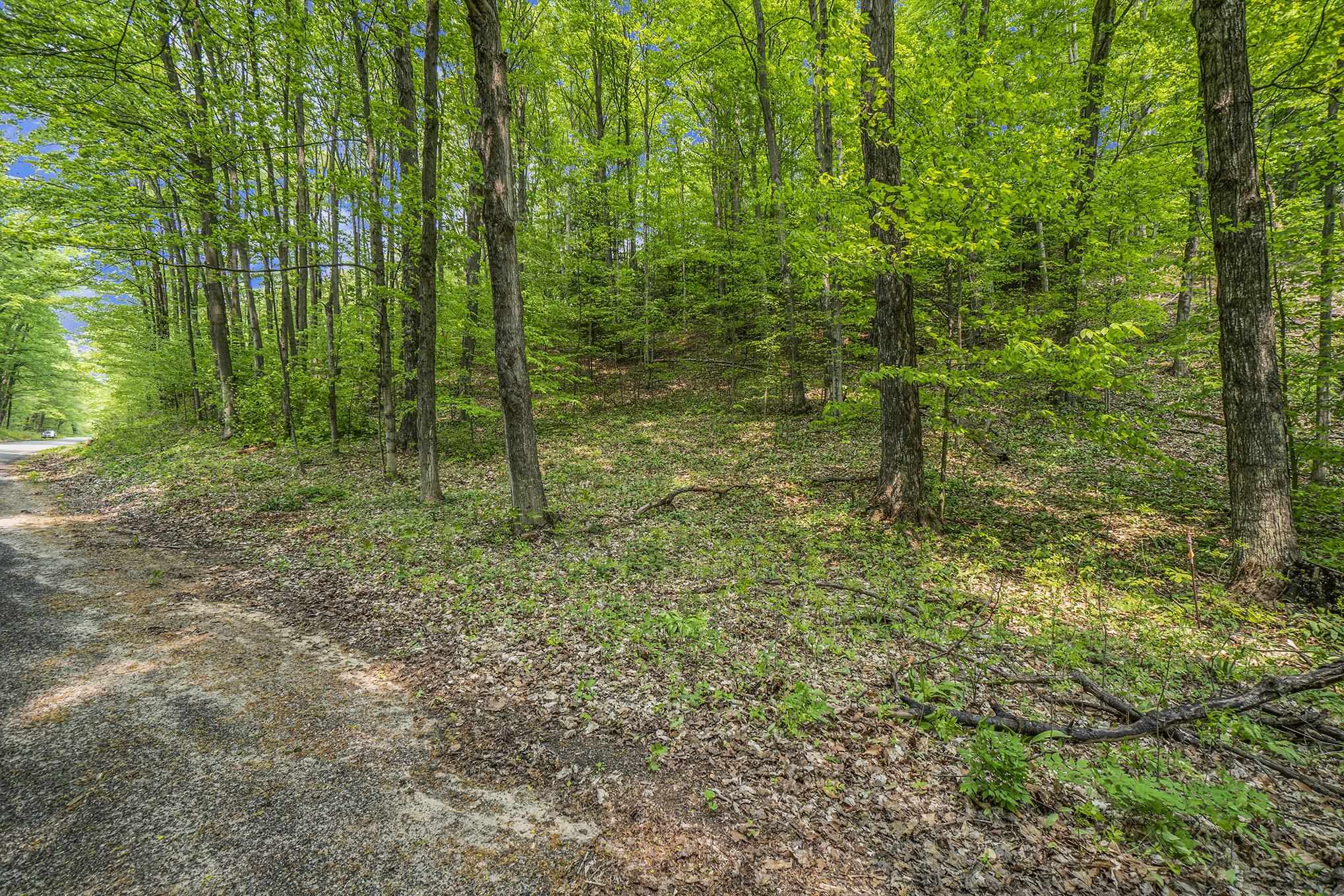 18579 St Pierre Road Arcadia, MI 49613 - Photo 7 of 12