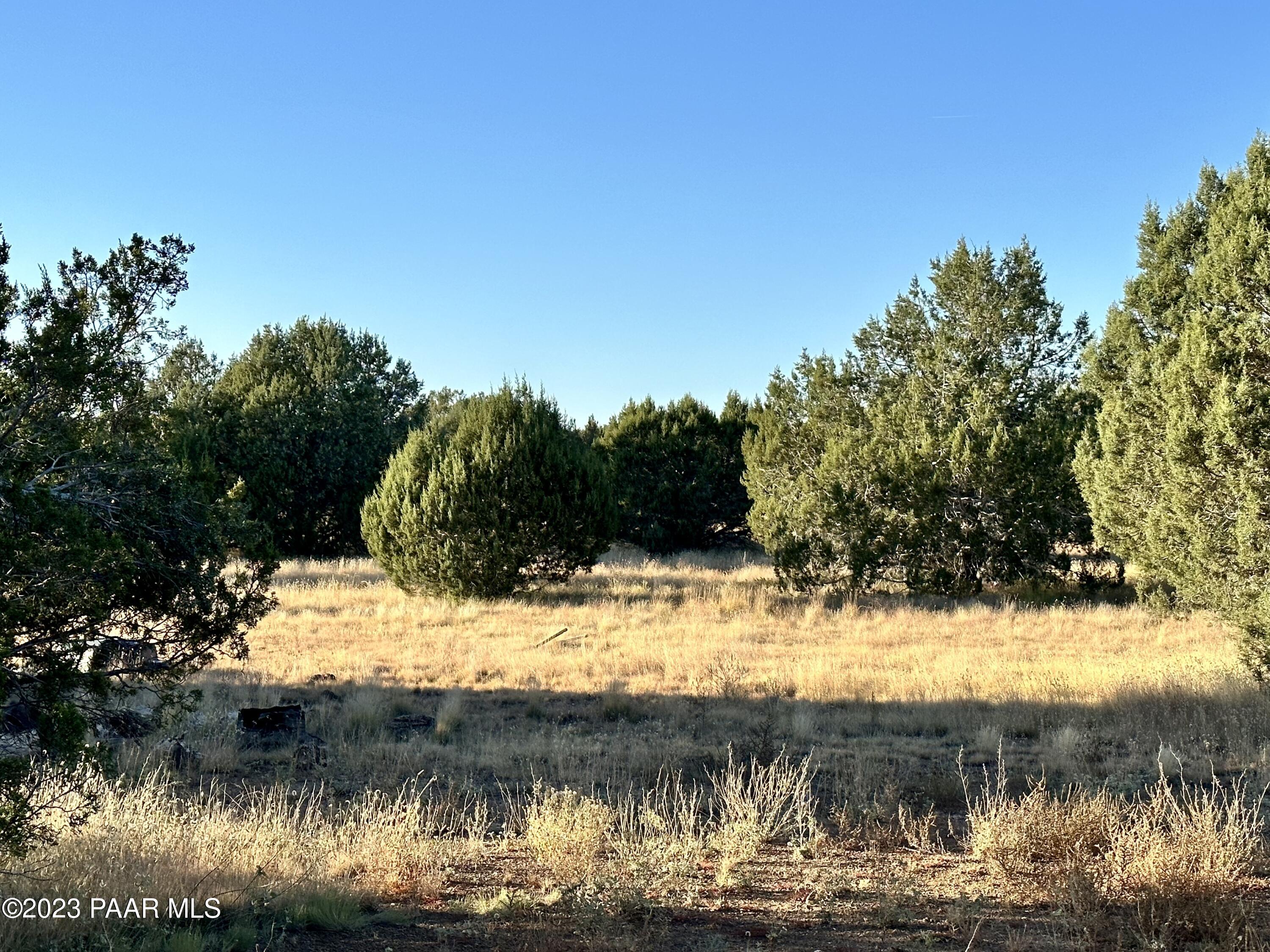 105 West Canyon Road Williams, AZ 86046 - Photo 15 of 27 IMG_1518