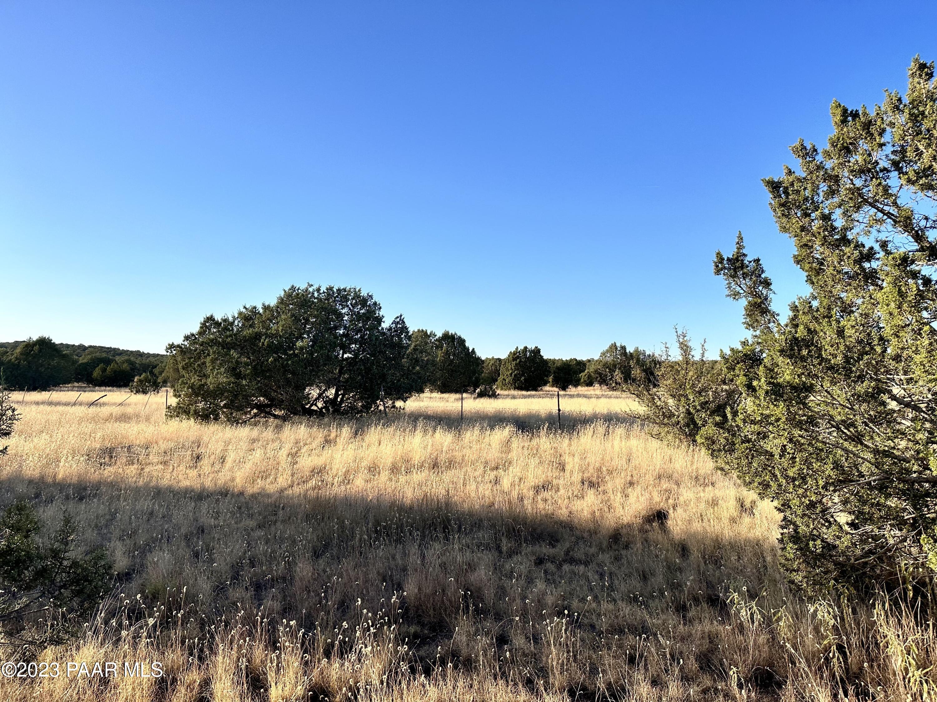105 West Canyon Road Williams, AZ 86046 - Photo 25 of 27 IMG_1529