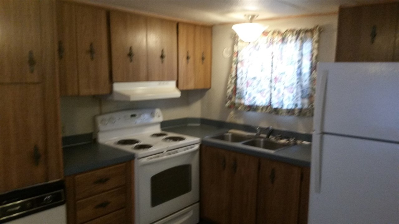 3988 Colville Road Loon Lake, WA 99148 - Photo 5 of 6