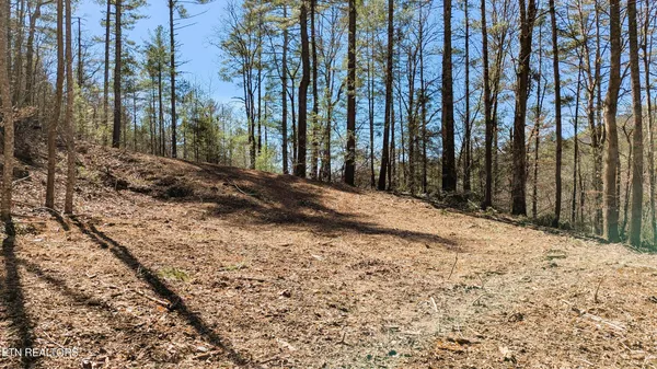 $196,000 | 14 Acres Road, Townsend, TN 37882