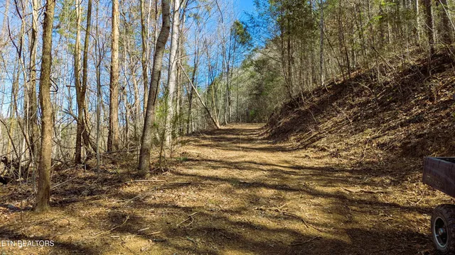 $196,000 | 14 Acres Road, Townsend, TN 37882