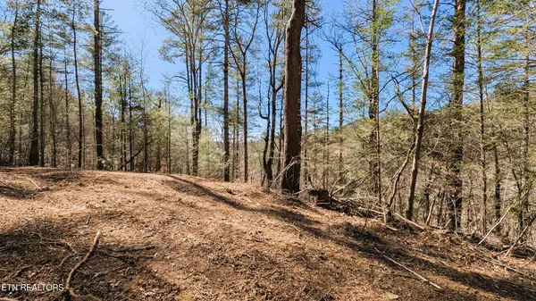 $196,000 | 14 Acres Road, Townsend, TN 37882
