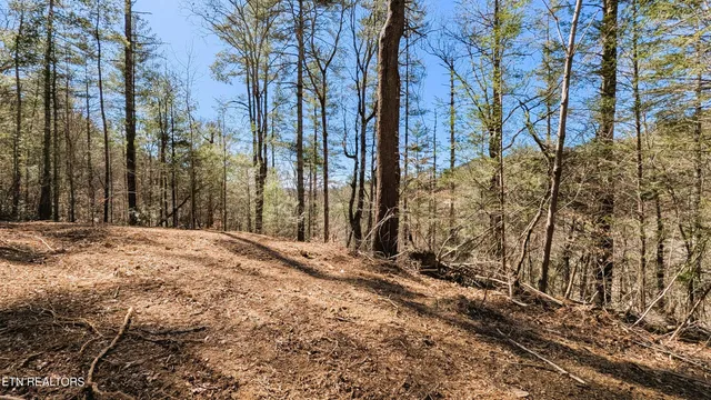 $196,000 | 14 Acres Road, Townsend, TN 37882