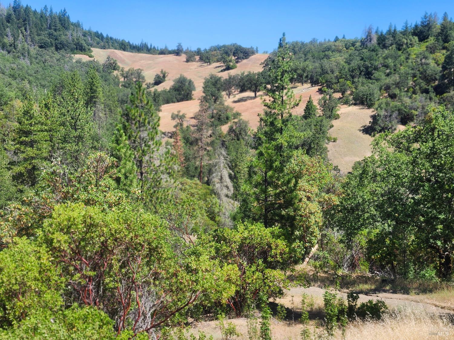 22551 Rifle Range Road Covelo, CA 95428 - Photo 24 of 24