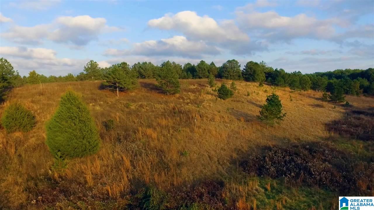 0 Highway 27 Springville Al Springville, AL 35146 - Photo 1 of 12