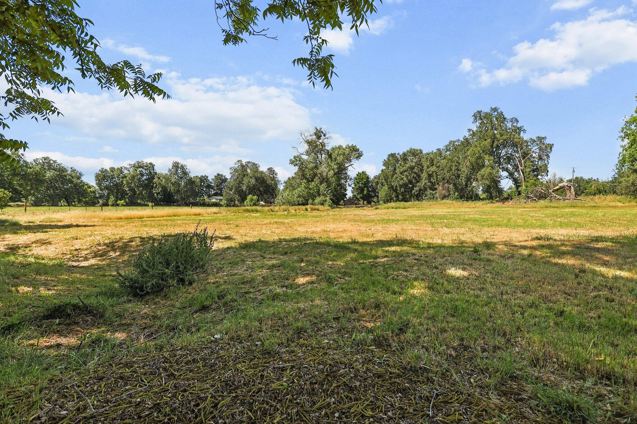 19186 Knighton Road Redding, CA 96002 - Photo 45 of 50 pasture
