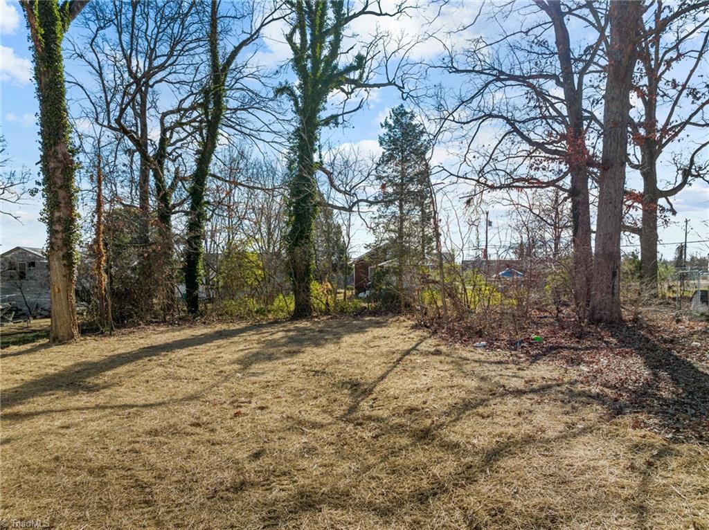 2619 Carsten Avenue High Point, NC 27262 - Photo 26 of 34