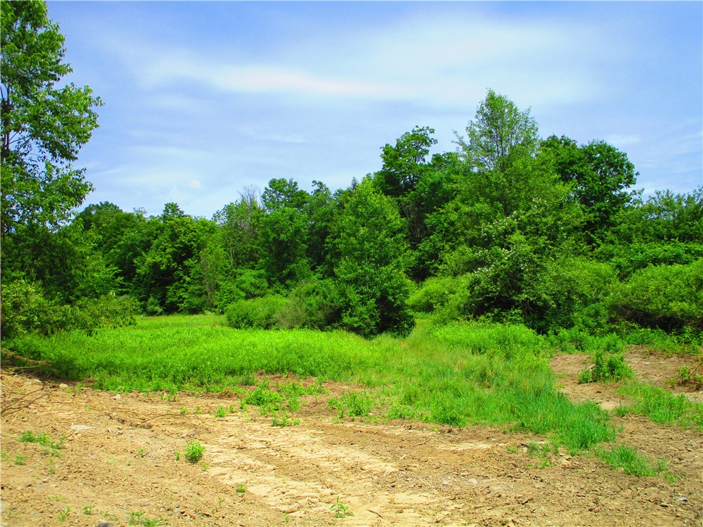 0 State Highway Afton, NY 13730 - Photo 1 of 11