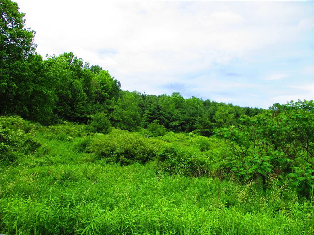 0 State Highway Afton, NY 13730 - Photo 2 of 11