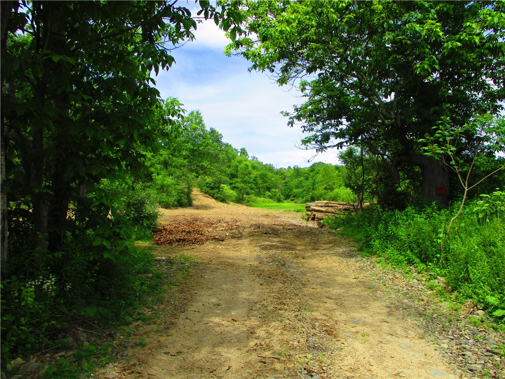 0 State Highway Afton, NY 13730 - Photo 3 of 11