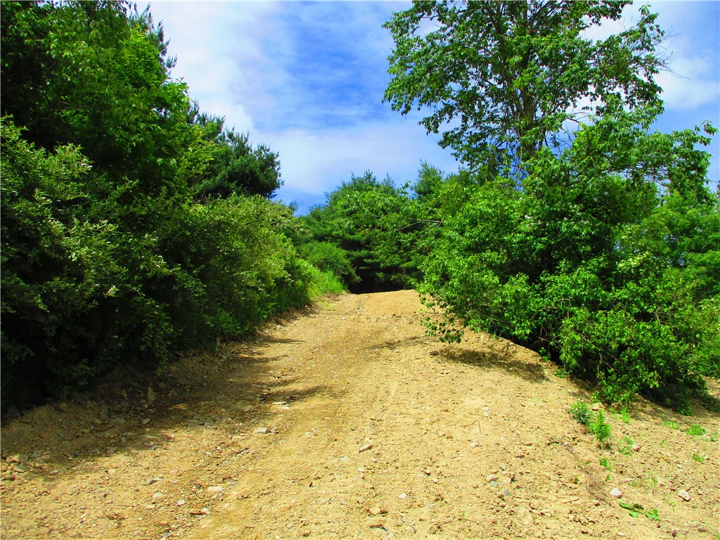 0 State Highway Afton, NY 13730 - Photo 4 of 11