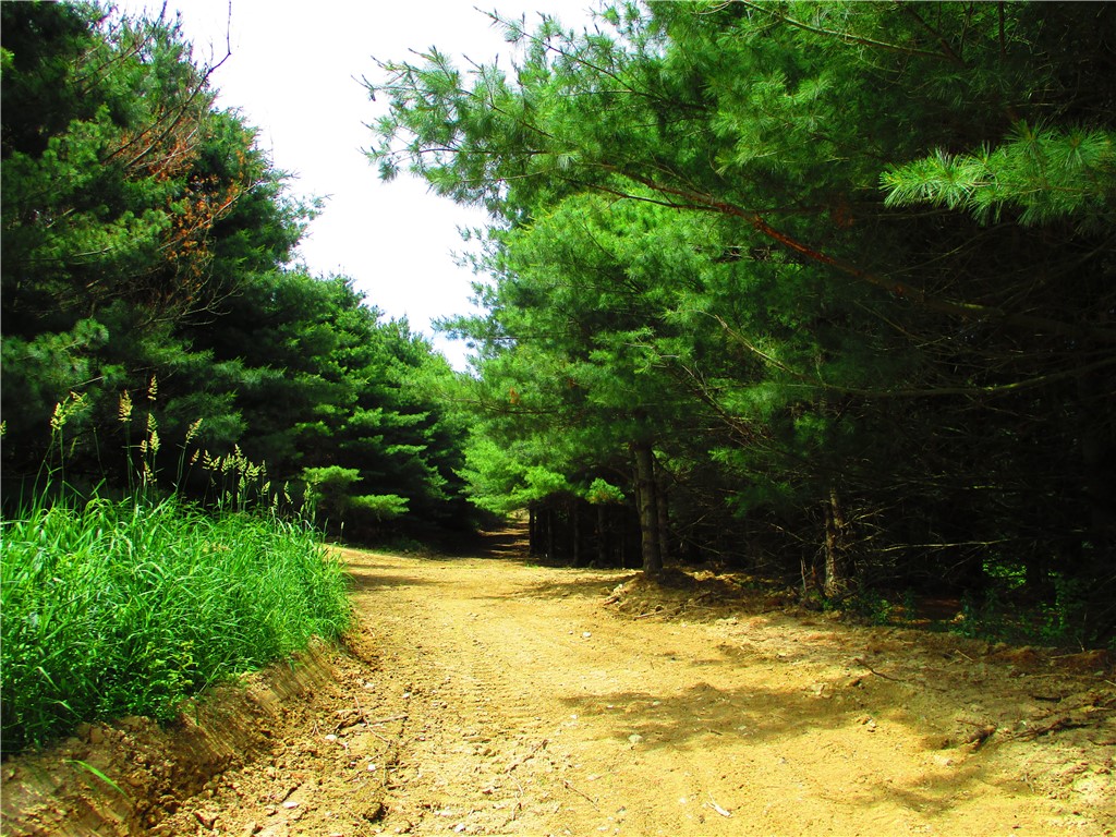 0 State Highway Afton, NY 13730 - Photo 5 of 11