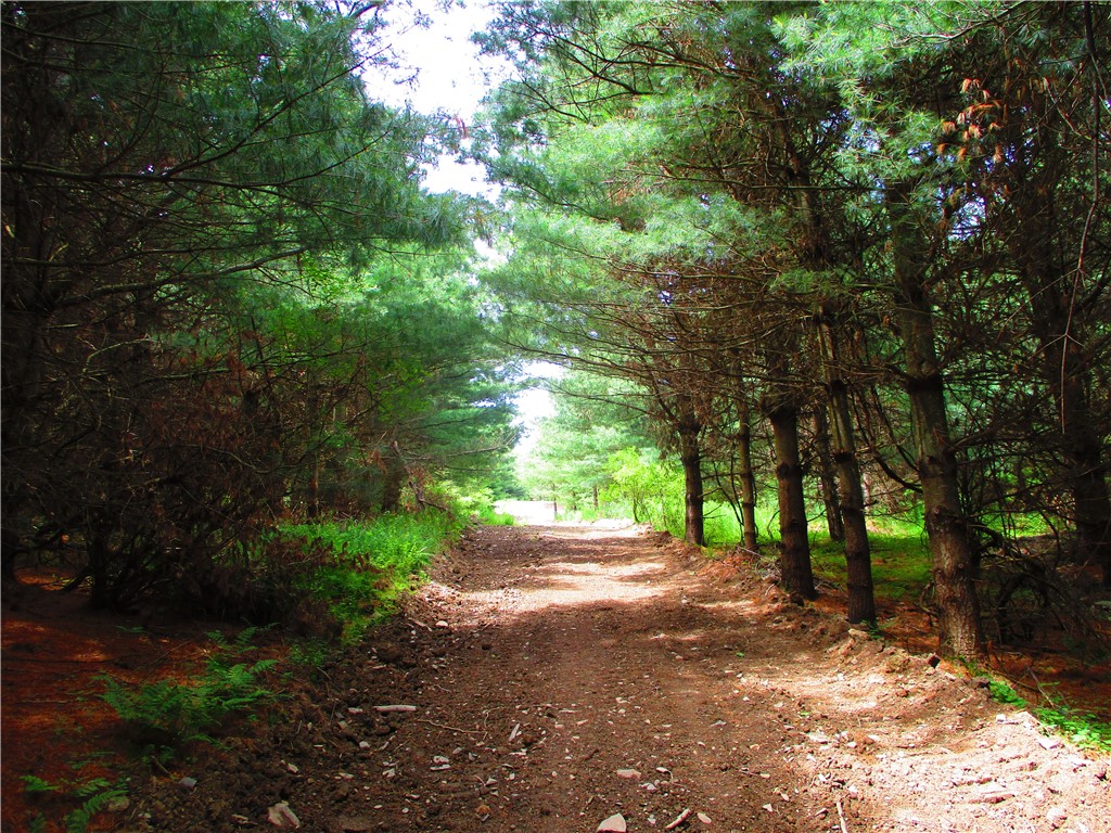 0 State Highway Afton, NY 13730 - Photo 6 of 11