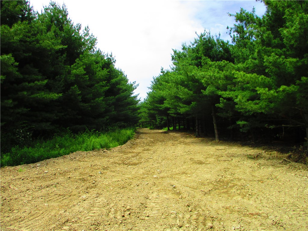 0 State Highway Afton, NY 13730 - Photo 7 of 11