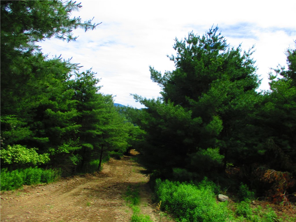 0 State Highway Afton, NY 13730 - Photo 8 of 11