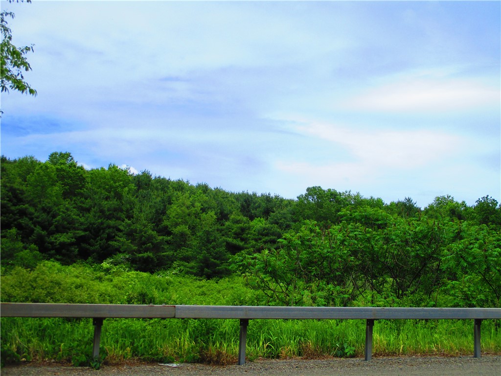 0 State Highway Afton, NY 13730 - Photo 10 of 11