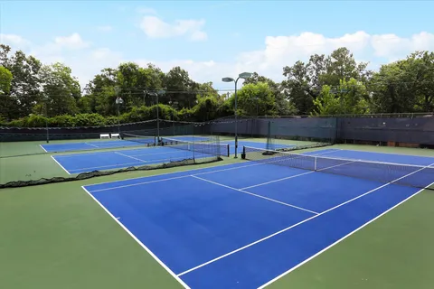 a view of a yard with a tree