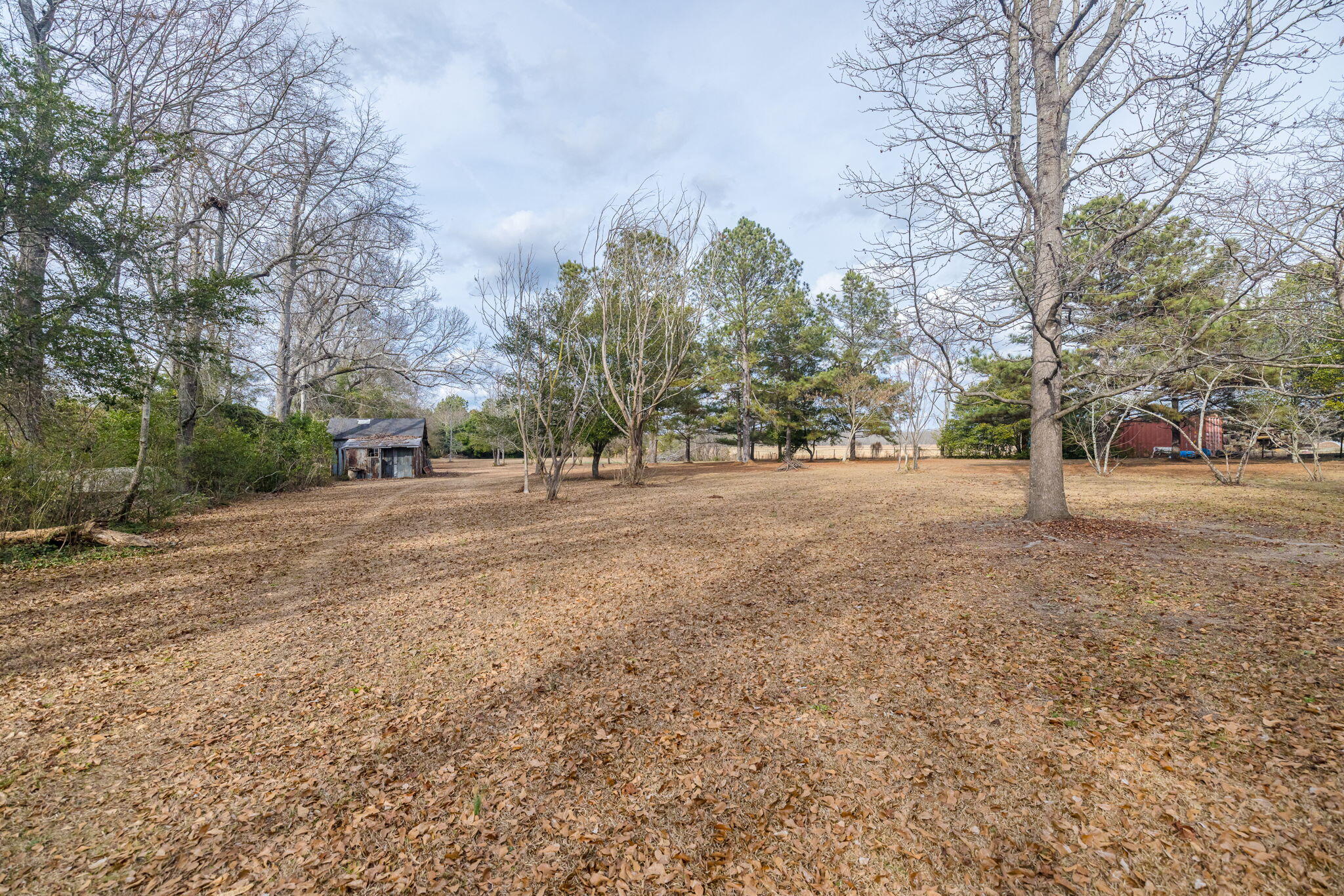 4865 Deans Bridge Road Blythe, GA 30805 - Photo 71 of 72 4865DeansBridge-75