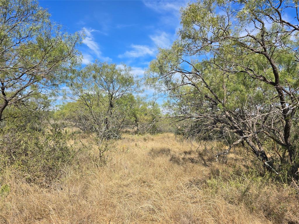 5780 County Road 266 Rochelle, TX 76872 - Photo 8 of 40