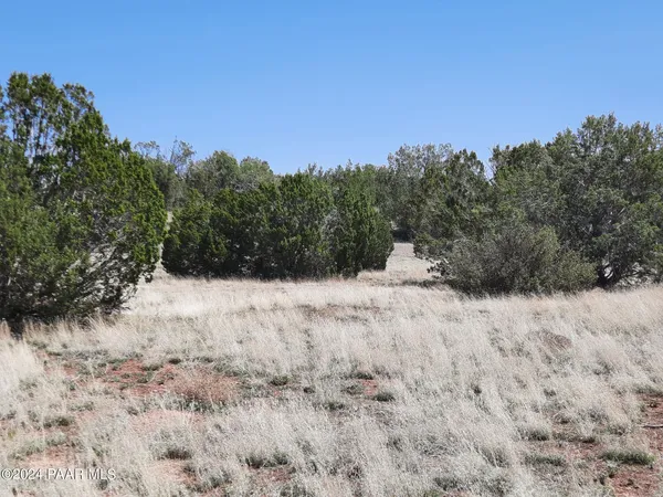 a view of a dry yard covered with snow in mountains