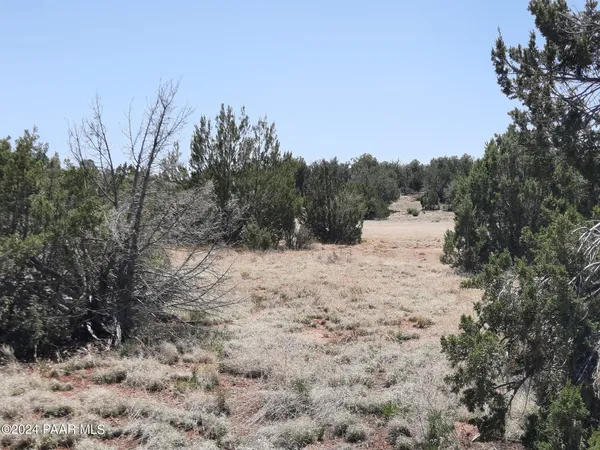 a view of a covered with snow in the background