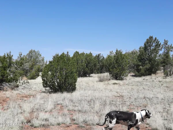 a view of a covered with snow on the road