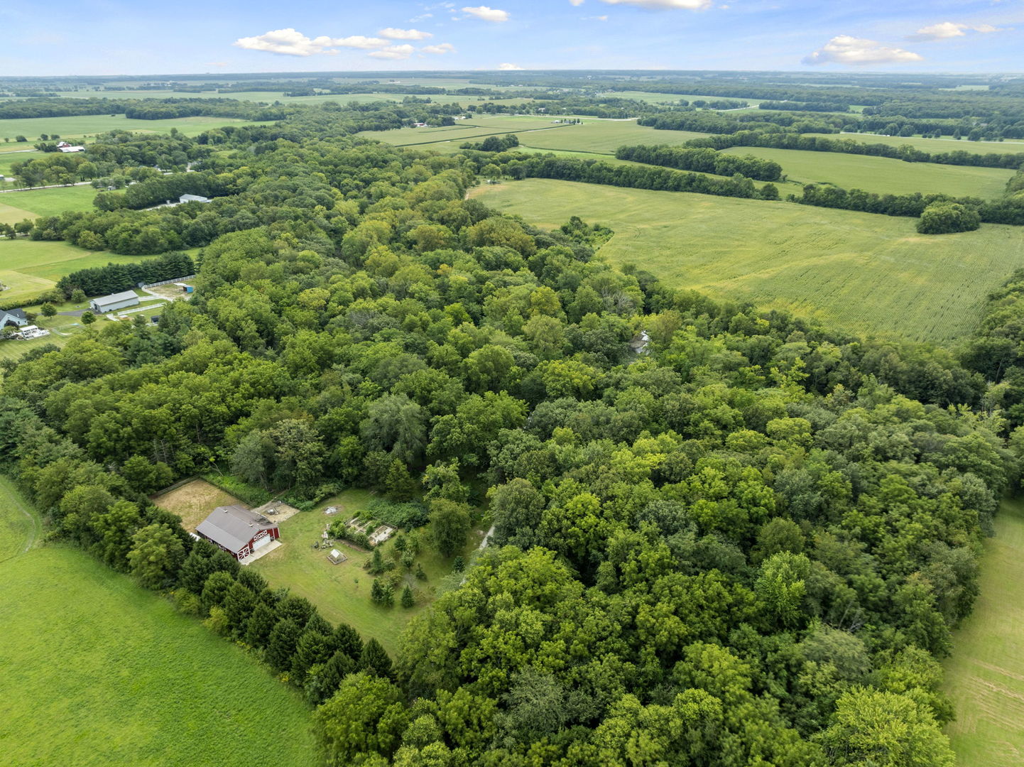 19583 West Goodwin Road Wilmington, IL 60481 - Photo 80 of 90