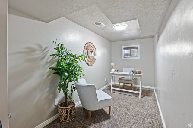 115 East 1600th Street North Santaquin, UT 84655 - Photo 27 of 52 Versatile room featuring neutral-toned walls, textured carpeting, and a recessed ceiling light fixture