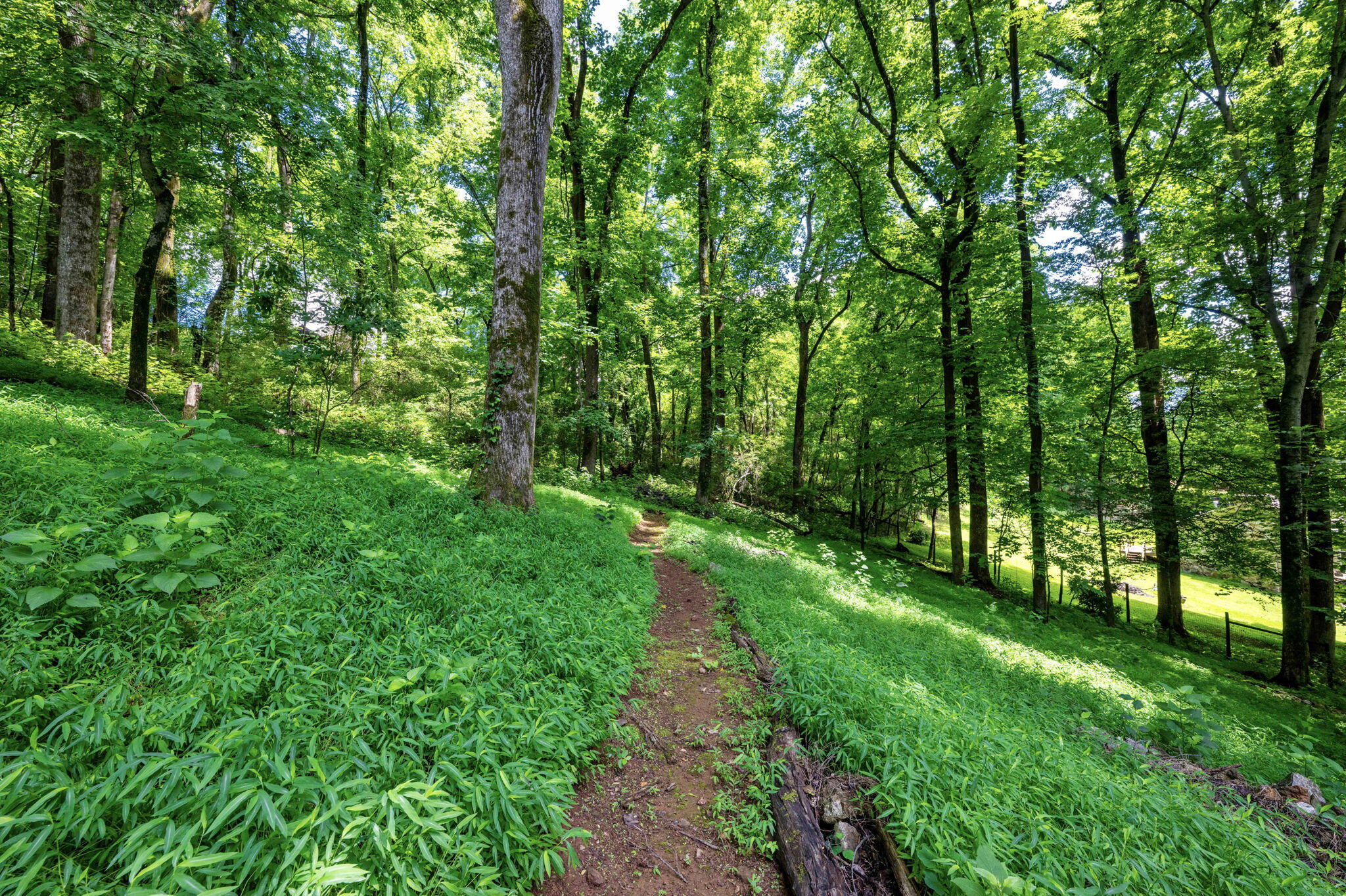 1719 Hidden Harbor Road Hixson, TN 37343 - Photo 58 of 76 61-web-or-mls-DSC_7280-54