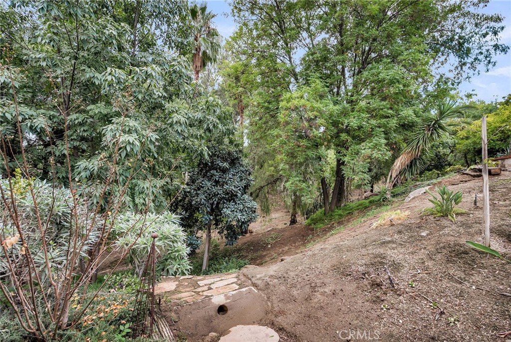 2252 El Capitan Drive Riverside, CA 92506 - Photo 40 of 51 a view of a yard with plants and trees