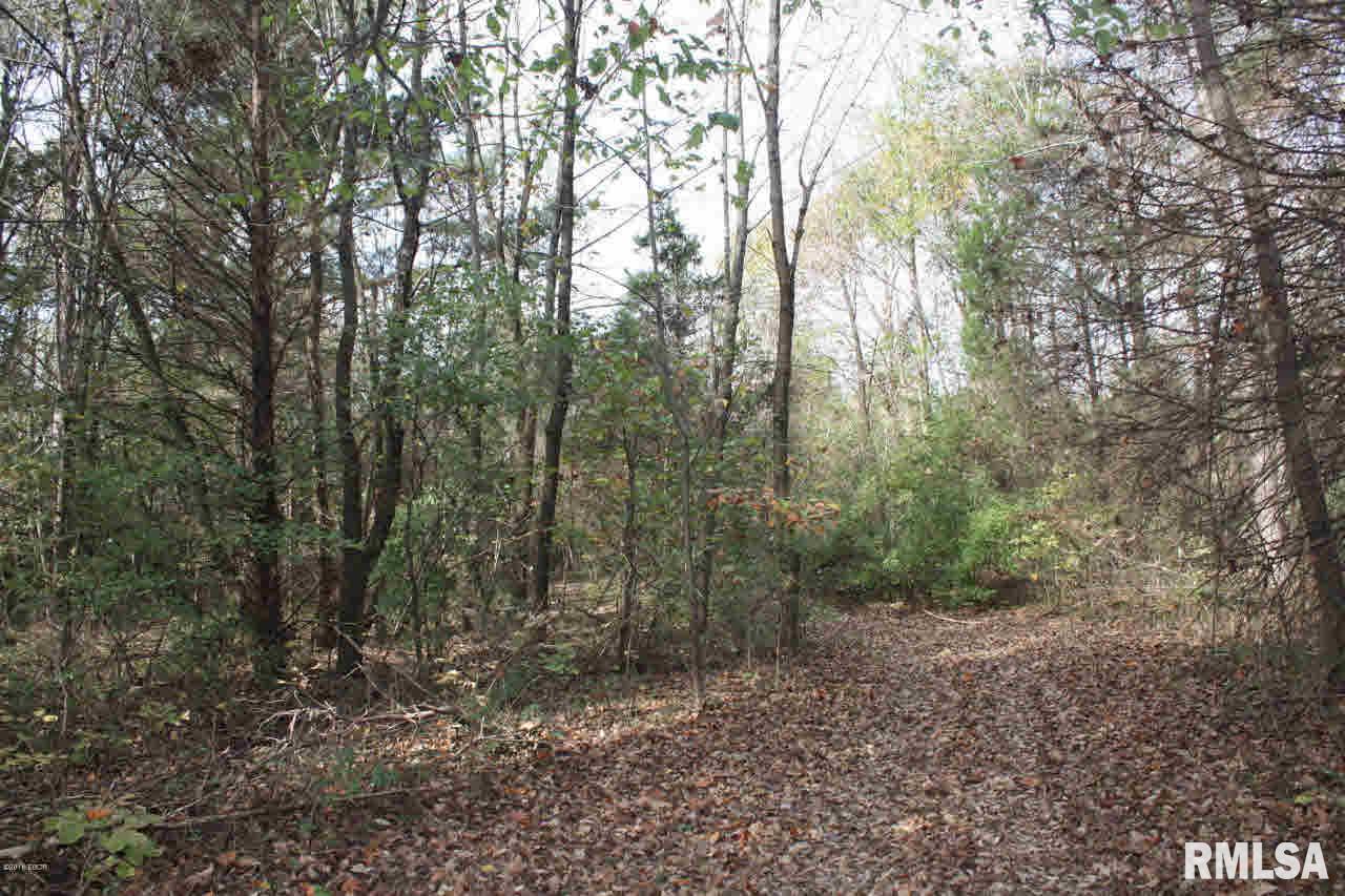 1325 Cedar Grove Road Goreville, IL 62939 - Photo 8 of 28