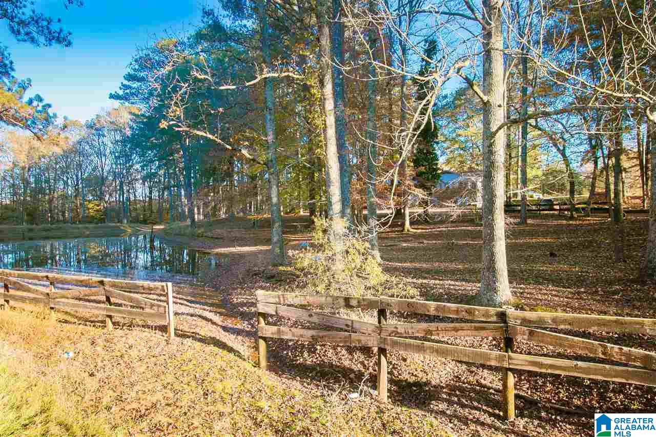 6575 Service Road Trussville, AL 35173 - Photo 34 of 36