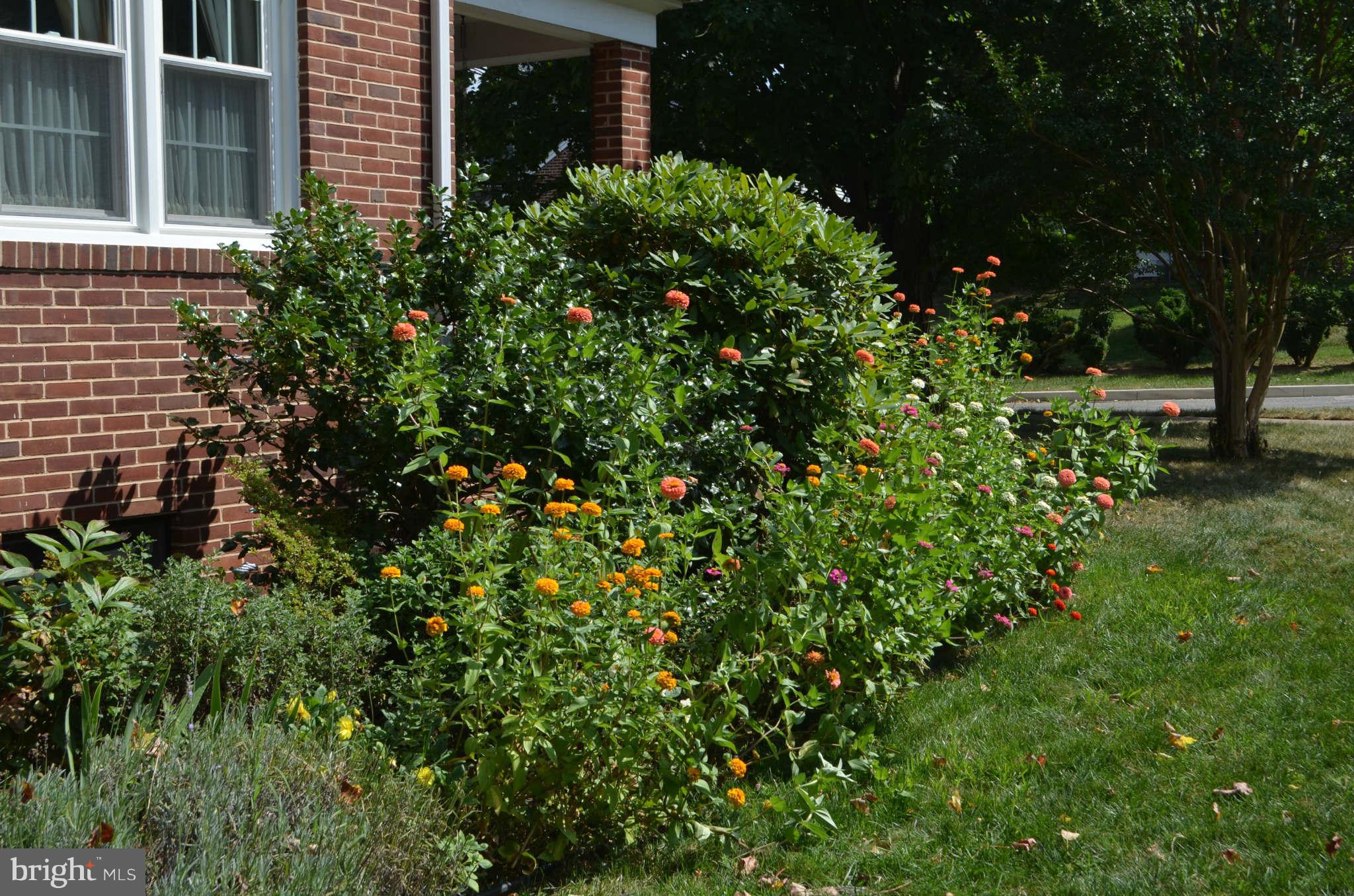 17 Dungarrie Road Baltimore, MD 21228 - Photo 26 of 30 View