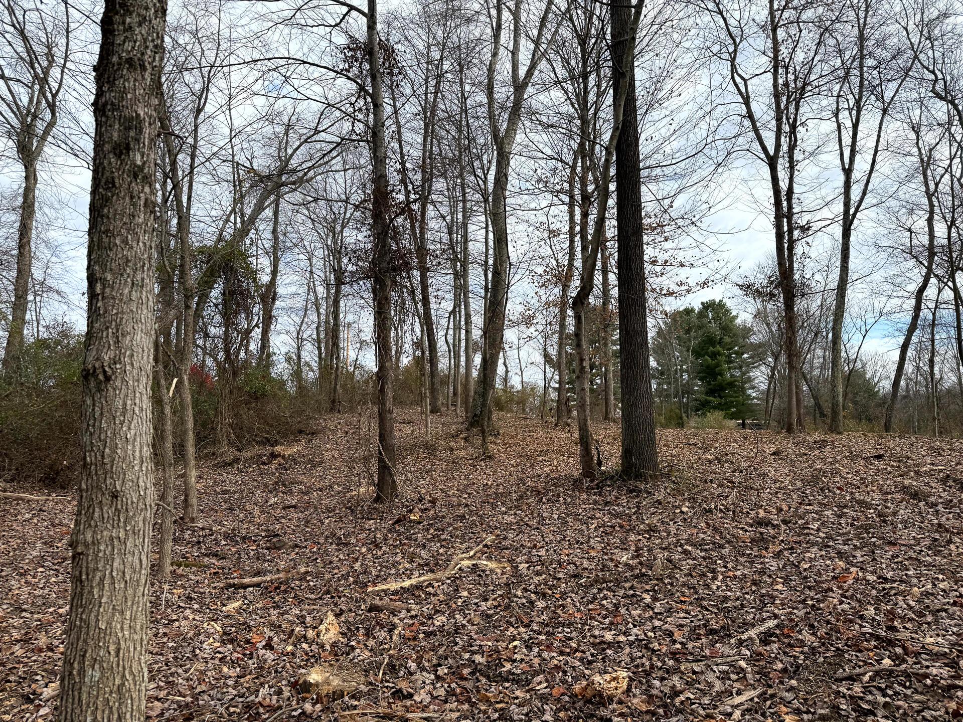 0 Dutch Ridge Road Southeast, Unit WOODS TURKEY RUN TRACT 1) New Lexington, OH 43764 - Photo 24 of 43 CT-24
